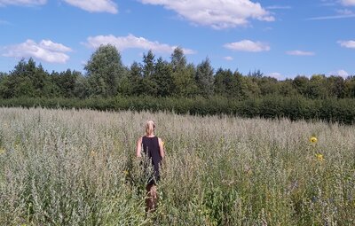 Het mooiste plekje van Moorslede